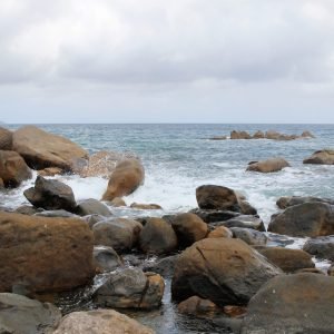 IMG_3186_Edit